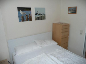 Seestern in Dahme